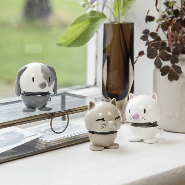Cat, latte Cat, latte, Hoptimist