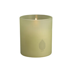 Glass Candle, light green leaf, Uyuni Lighting