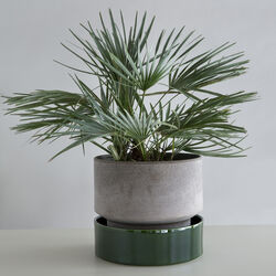 Hoff GLAZED fat, emerald green, Bergs Potter