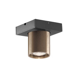 FOCUS MINI 1 Ceiling Spotlight, rose gold, LIGHT-POINT