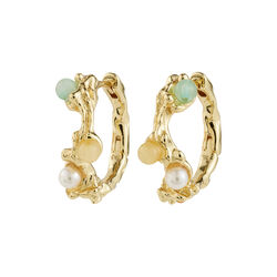 IRIS creoler, guldpl&auml;terade, Pilgrim