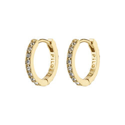 EBNA små crystal hoops, gold-plated, Pilgrim
