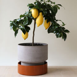 Hoff RAW kruka, grey, Bergs Potter