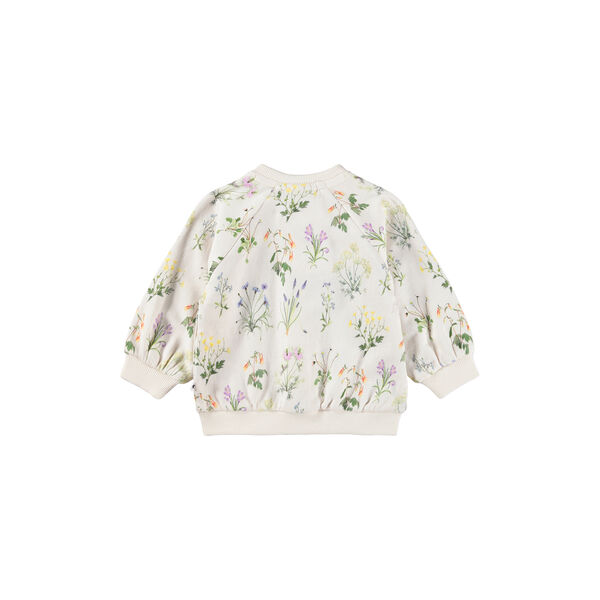 Daphne Cardigan, primavera, Molo