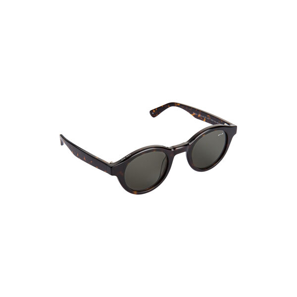 Noble Sunglasses, classical havana, AY Studios