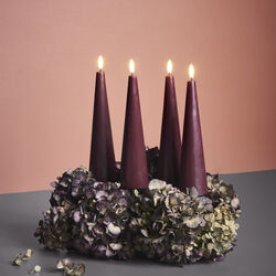 Giftbox w. spike, remote, LED cone candle 4-pack, wine red, Uyuni Lighting