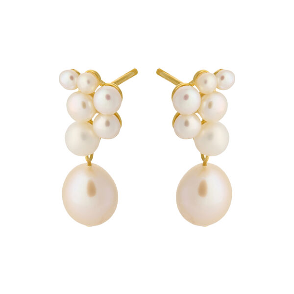 Ocean Treasure earrings, gold plated Ocean Treasure earrings, gold plated, Pernille Corydon Jewellery