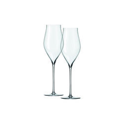 Notes Champagneglas 2 st, Holmegaard