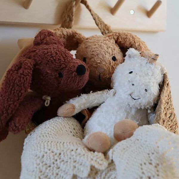 Den trogna hunden med en cape, Sleeping Hero