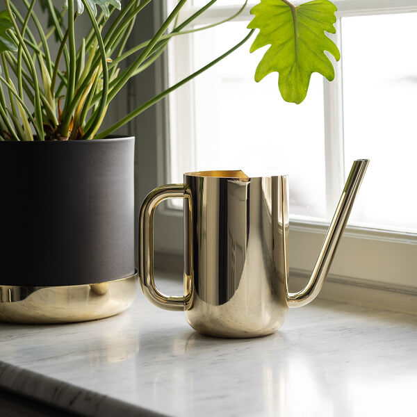 Nurture Vattenkanna, brass Nurture Vattenkanna, brass, Skultuna