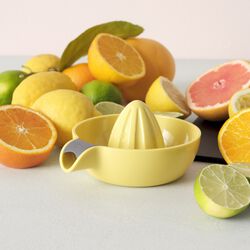 JUICY citruspress, yellow, RIG-TIG