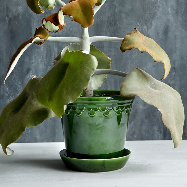 Københavner GLAZED kruka med fat, emerald green Københavner GLAZED kruka med fat, emerald green, Bergs Potter