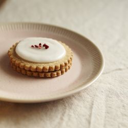Colorit tallrik Ø 19 cm, rose, Knabstrup Keramik