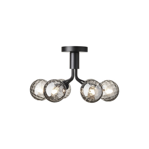 Apiales 6 Ceiling Lamp, satin black/optic smoked, Nuura