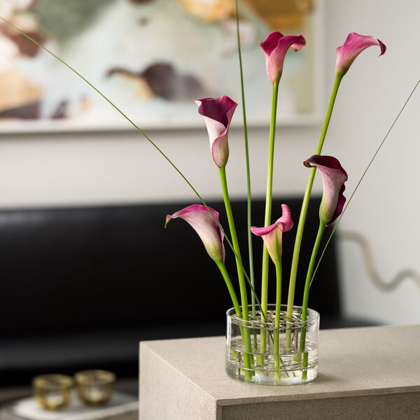 Äng vas liten Äng vas liten, Klong