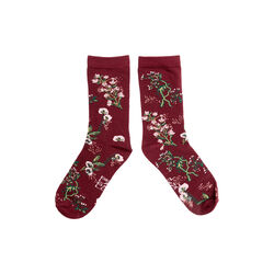 BLOOMS Socks, wine red, Bella Ballou