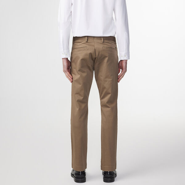 Theo 1420, shitake, NN.07