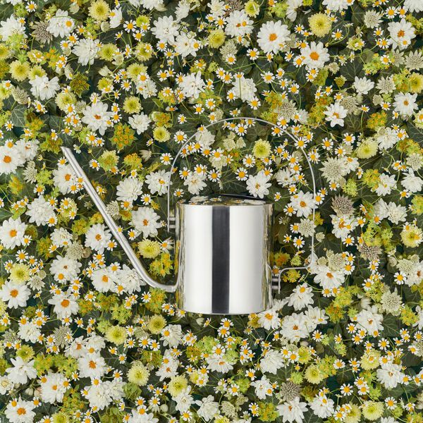 Original vattenkanna Original vattenkanna, Stelton