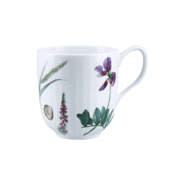 Hammersh&oslash;i Summer Mugg, coastal flower, K&auml;hler