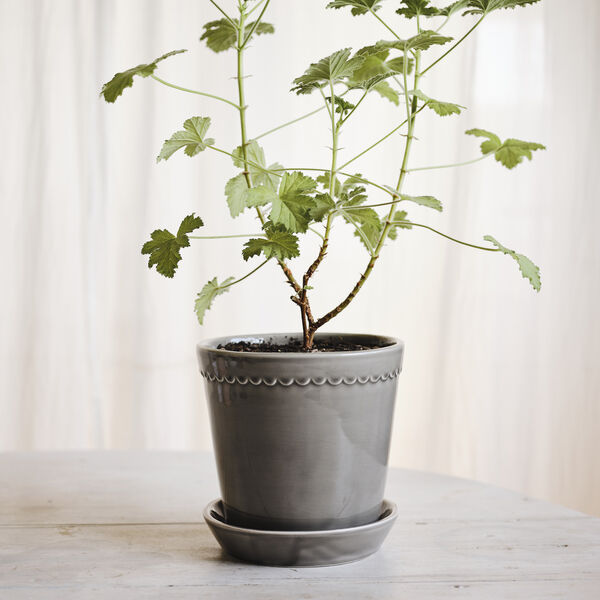 Helena GLAZED kruka med fat, pearl grey, Bergs Potter