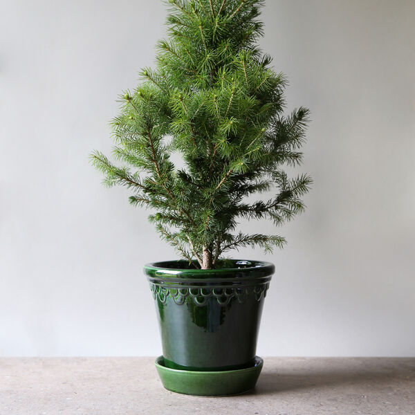 K&oslash;benhavner GLAZED kruka med fat, emerald green, Bergs Potter