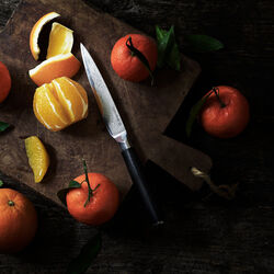 Utilitykniv, Gastrotools