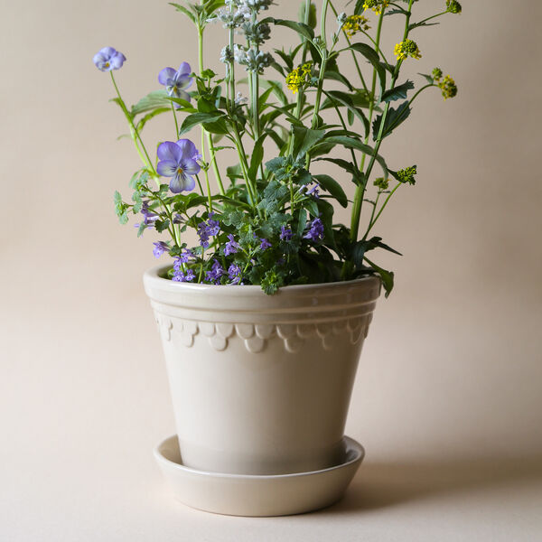 Københavner GLAZED kruka med fat, sand stone, Bergs Potter