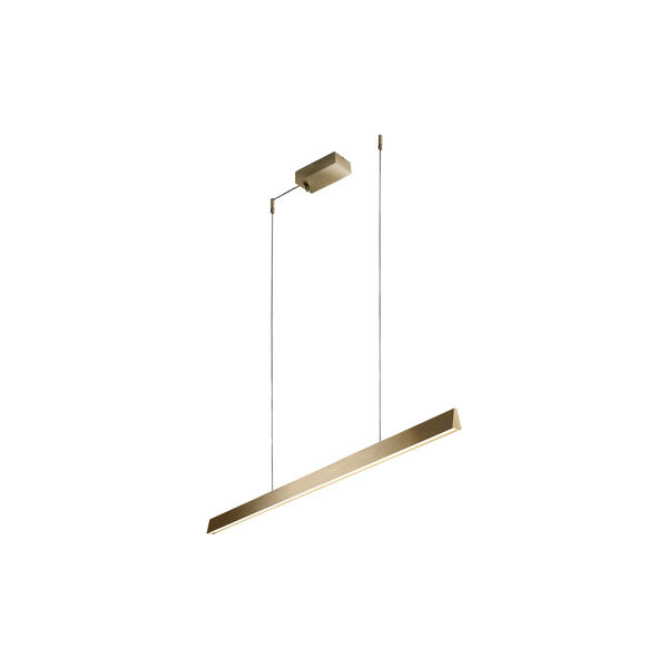 EDGE LINEAR S1000 SWITCH TUNE, brass, LIGHT-POINT