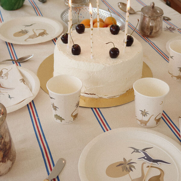 Birthday Kit, dino, Konges Sl&oslash;jd