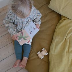 Count Book, multi colour, Franck & Fischer