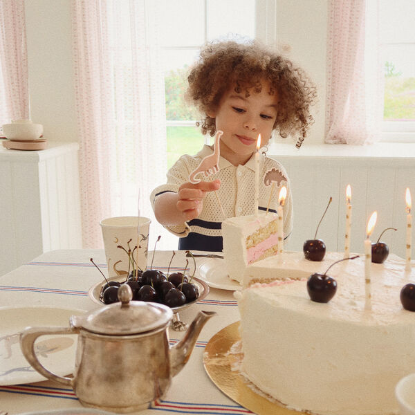 Birthday Kit, dino, Konges Sl&oslash;jd