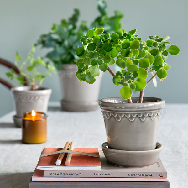 Københavner GLAZED kruka, pearl grey, Bergs Potter