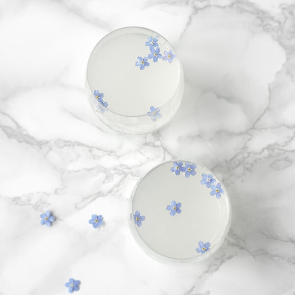 Crispy Aqua, Frederik Bagger