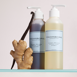 Aroma Therapy Deluxe Soap Ginger, Tromborg
