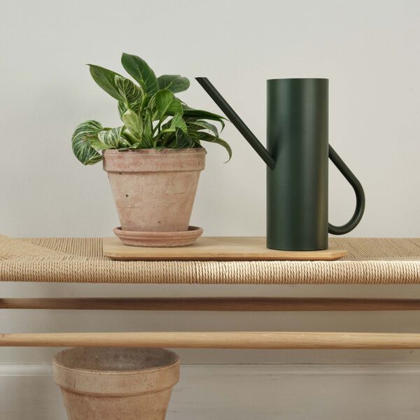 Bloom vattenkanna, pine, Stelton