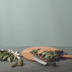 Vaggkniv Green tool, Eva Solo