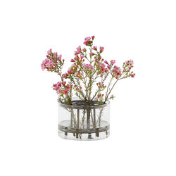 Äng vas liten, Klong