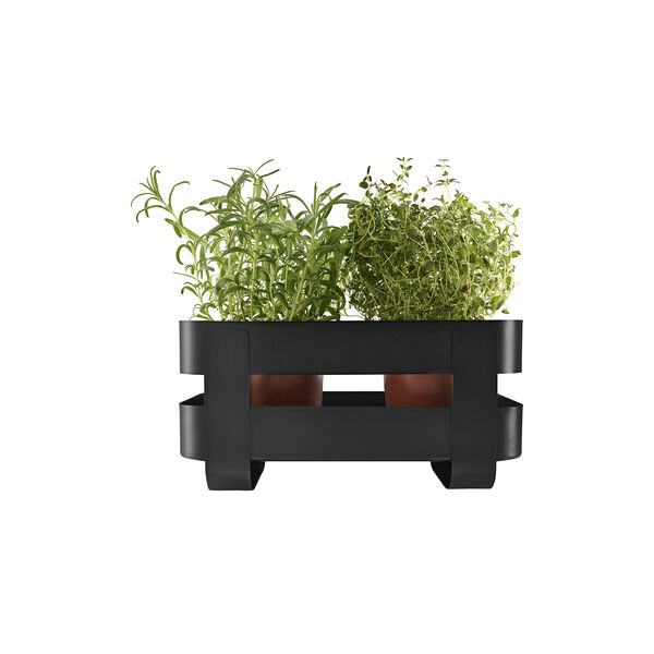 Självvattnande herb organiser, black, Eva Solo