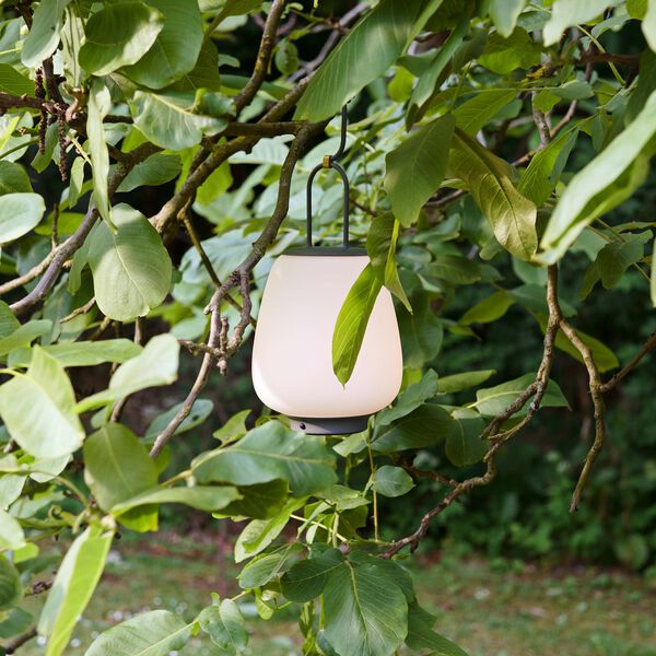 Lucca SC51 Portable Table Lamp, moss, &Tradition