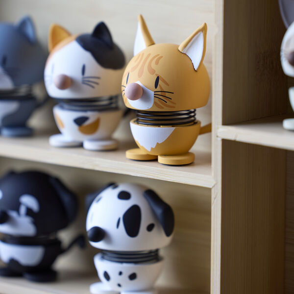 Orange Tabby, orange, Hoptimist