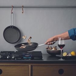 Professionell stekpanna, 20 cm, Eva Trio