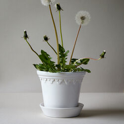 Københavner GLAZED kruka med fat, mineral white, Bergs Potter