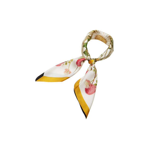 Yellow Meadow sidenscarf, Flora Danica Denmark