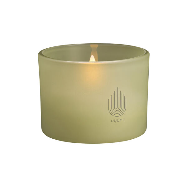 Glass Candle, light green leaf, Uyuni Lighting