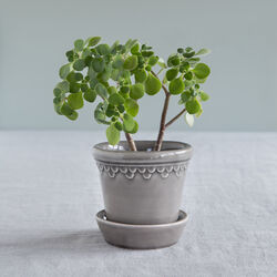 K&oslash;benhavner GLAZED kruka, pearl grey, Bergs Potter