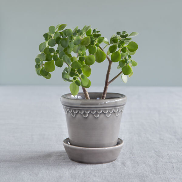 K&oslash;benhavner GLAZED kruka, pearl grey, Bergs Potter