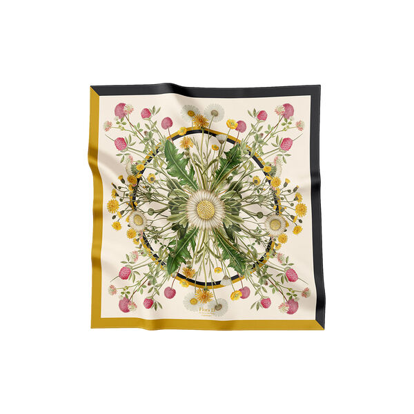 Yellow Meadow sidenscarf, Flora Danica Denmark