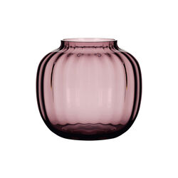 Primula vas, blomma, Holmegaard