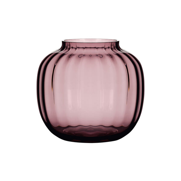 Primula vas, blomma, Holmegaard