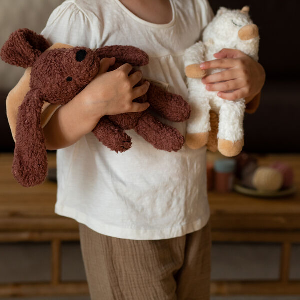 Den trogna hunden med en cape, Sleeping Hero